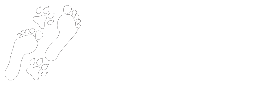 Labradors Valley